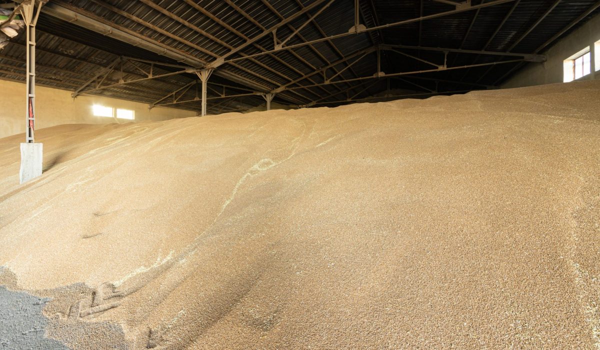 Grain Warehouse_new